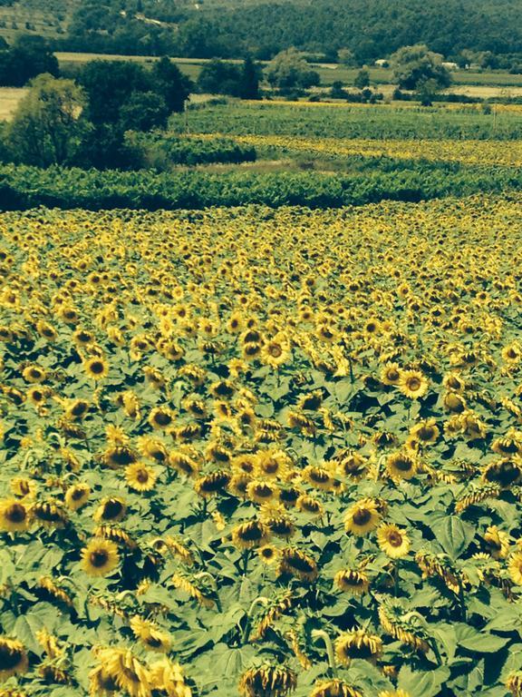מונטה סן סאבינו Tre Girasoli חדר תמונה