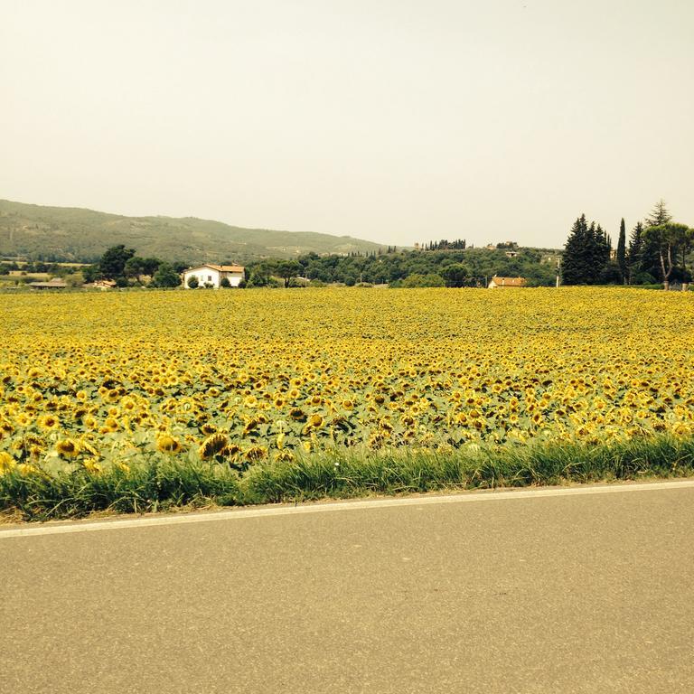 מונטה סן סאבינו Tre Girasoli מראה חיצוני תמונה